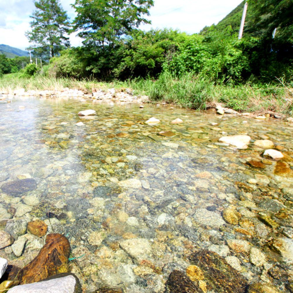 주변전경